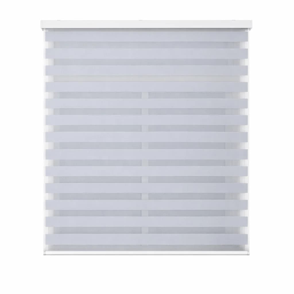 Tenda a Rullo Giorno e Notte, Tenda a Rullo in Tessuto 100% Poliestere con Cassa Superiore Decorativa, Regolazione di Luce e Privacy, Facile da