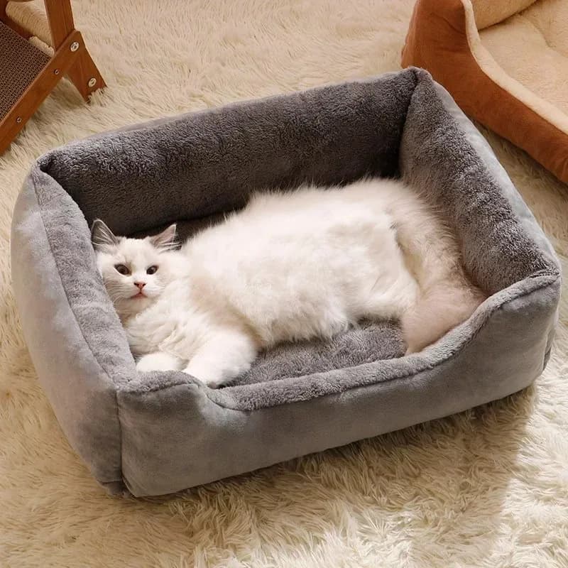 Inverno Gatti Letto Tappetino per cani Letti Articoli Accessori per cuccioli di animali domestici Prodotti Cuscino per gattini Cose Accessori Case