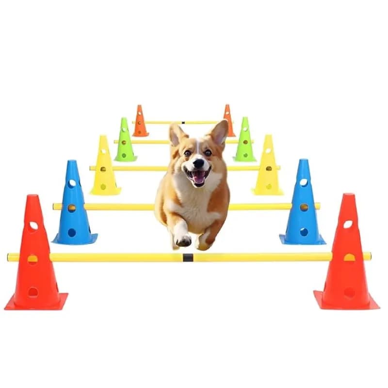 Set per Addestramento Agility per Animali Domestici, Barra per Salti, Attrezzatura per Ostacoli, Dispositivo per Addestramento Cani, Accessori per