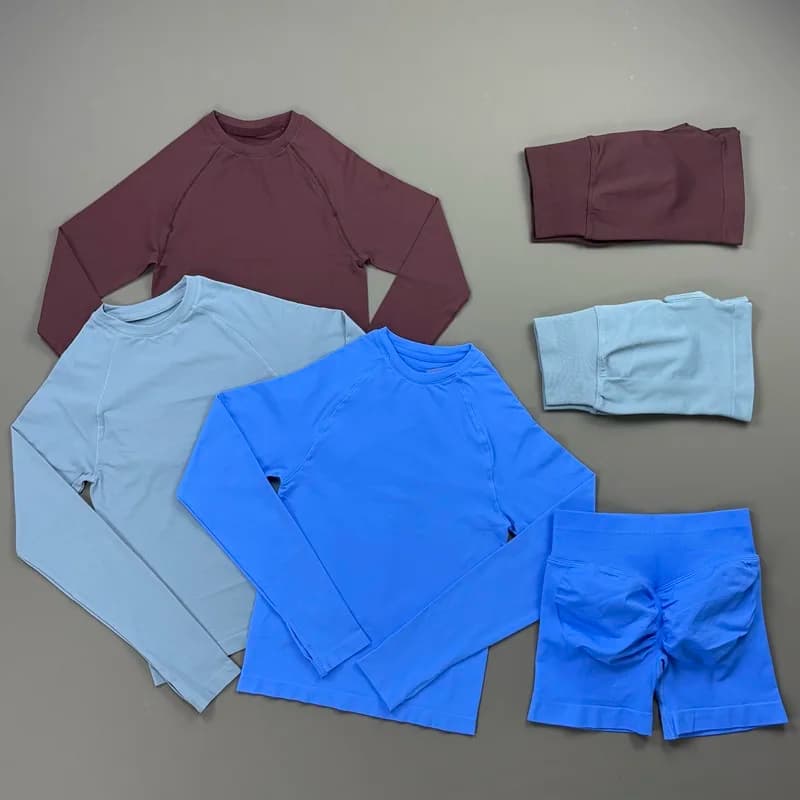 Set Sportivo da Donna 2 Pezzi, Top a Maniche Lunghe con Collo Tondo Senza Cuciture, Pantaloncini Modellanti per Yoga, Palestra e Fitness