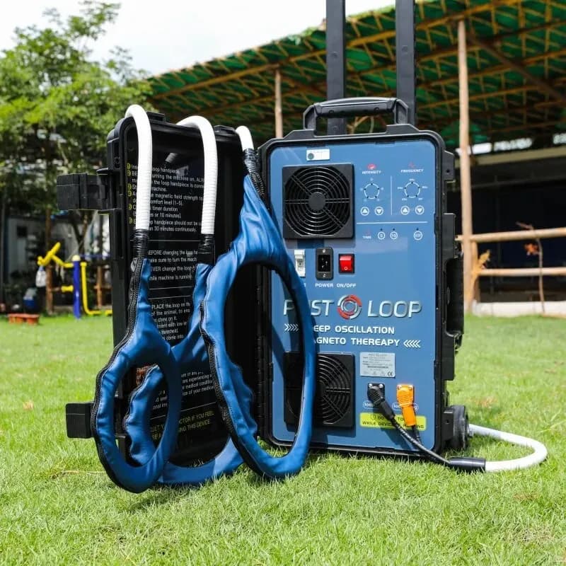 2025 PEMF LOOP per il trattamento dei cavalli Terapia Pemf Riabilitazione e massaggio ferito per cavalli Macchina per terapia PEMF equina