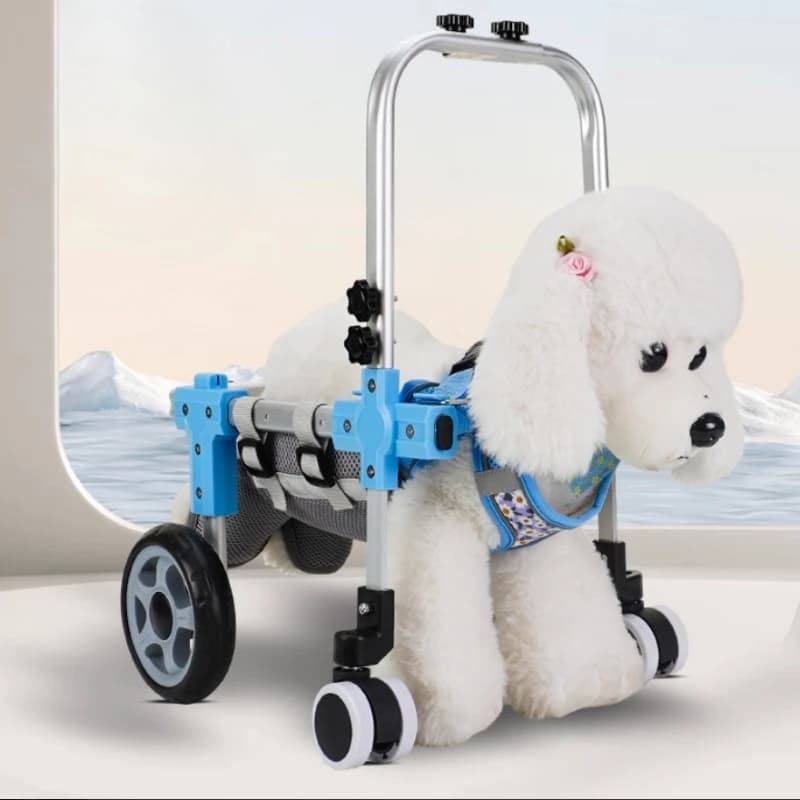 Camminatore per animali domestici per disabili con sedia a rotelle regolabile per gamba posteriore con supporto per gamba posteriore e supporto per