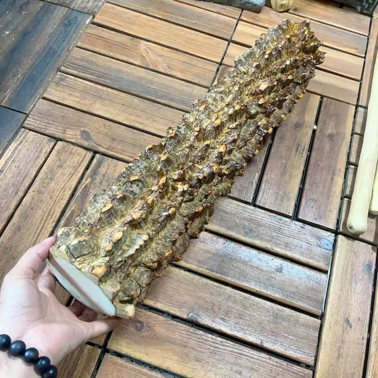 Segmento di Legno di Zanthoxylum Bungeanum Extra Spesso, Materiale per Intaglio Fai-da-Te