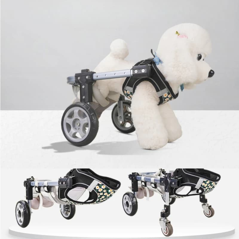 Sedia a rotelle leggera per cani per le gambe posteriori Sedia a rotelle per riabilitazione paralizia dei arti posteriori per cani Supporto ausiliario