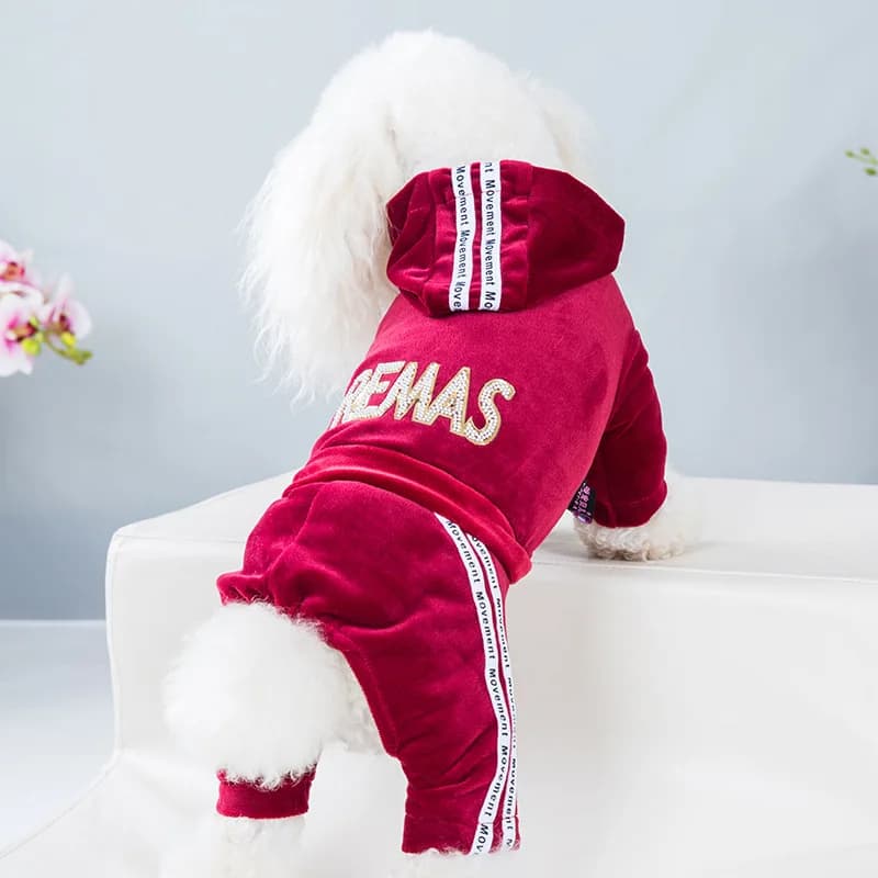 Abbigliamento di Lusso in Velluto per Cani, Tuta per Cani, per Cani di Piccola e Media Taglia, Costume per Cuccioli Yorkie, Cappotto con Cappuccio,