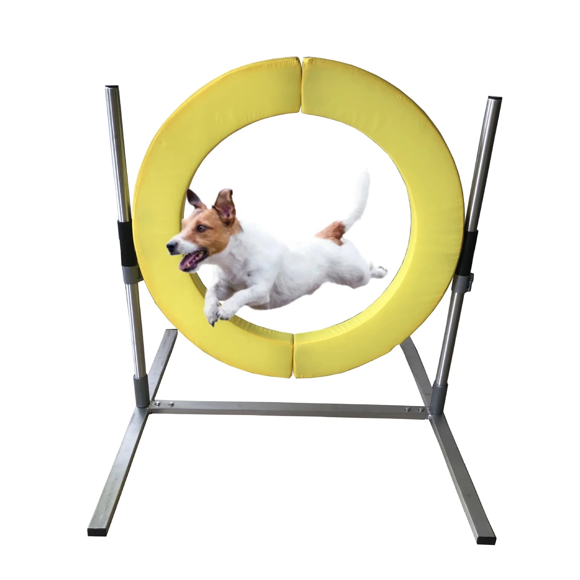 Attrezzatura per Addestramento Agility per Cani da Esterno USMILEPET, Cerchio in Plastica Personalizzabile per Salto, Collare per Addestramento Cani
