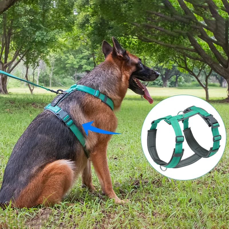 Comodo e regolabile a forma di H per cani di grandi dimensioni in nylon lavabile notturno riflettente senza tirare Pettorina per animali domestici