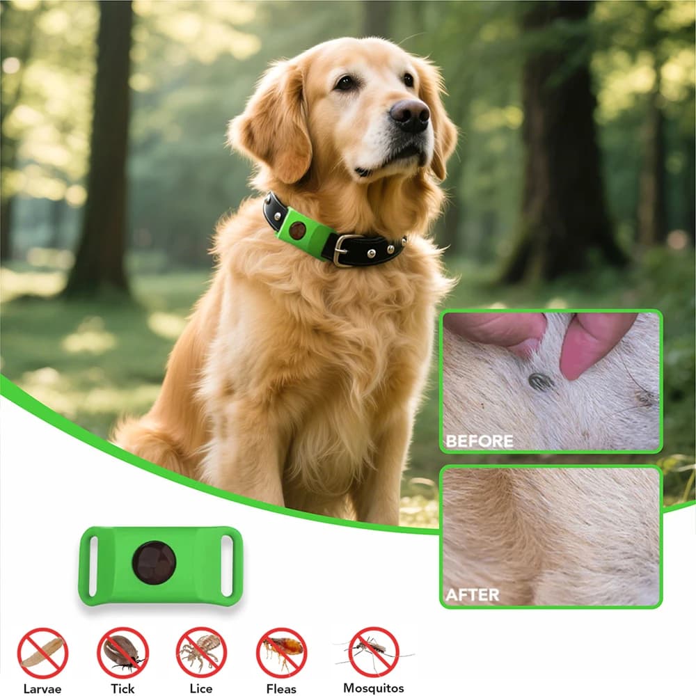 Oli naturali pendenti anti-pulci e zecche per collare di cani e gatti Tag per animali domestici indossabili con oli essenziali per ripristinare i