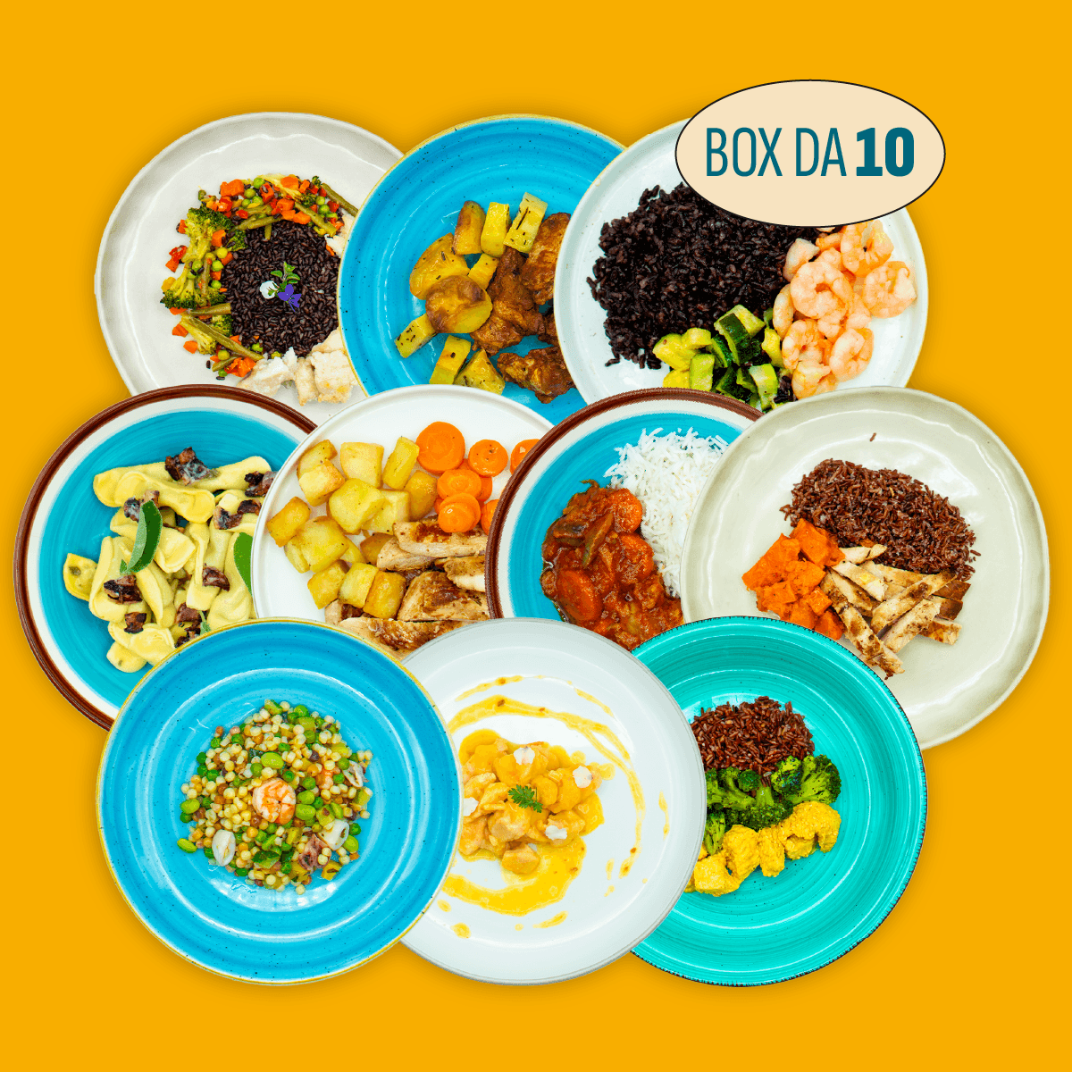 Piatti Pronti Bilanciati - Box 10 pz
