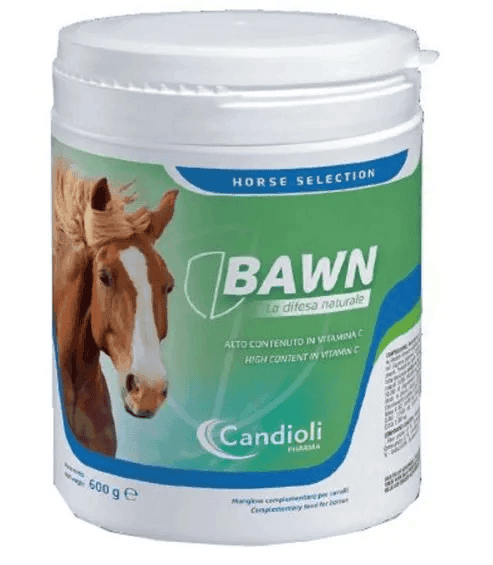 Bawn Mangime Complementare Polvere Per Cavalli Adulti e Puledri 600 g