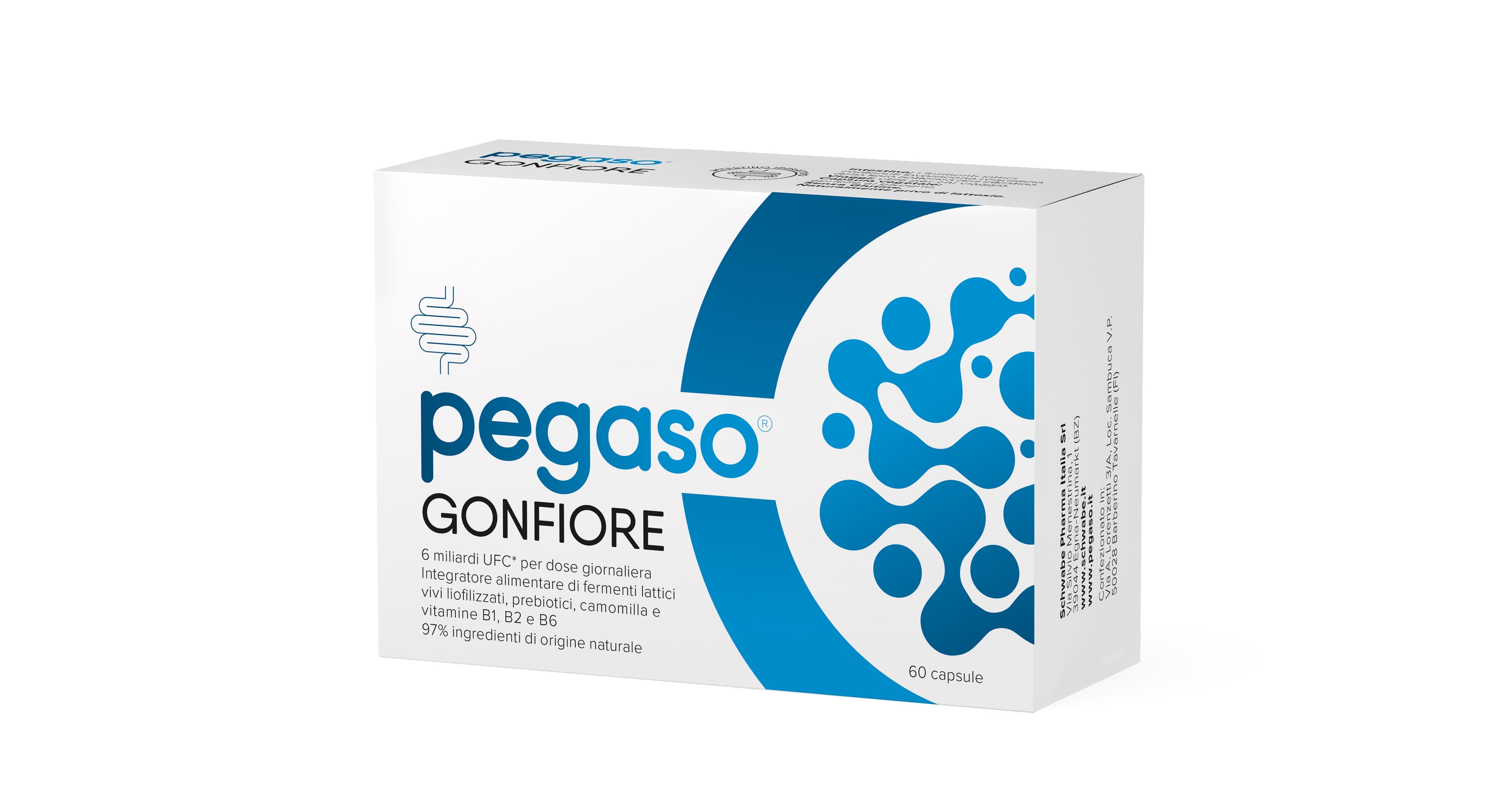 Pegaso Gonfiore 60Cps