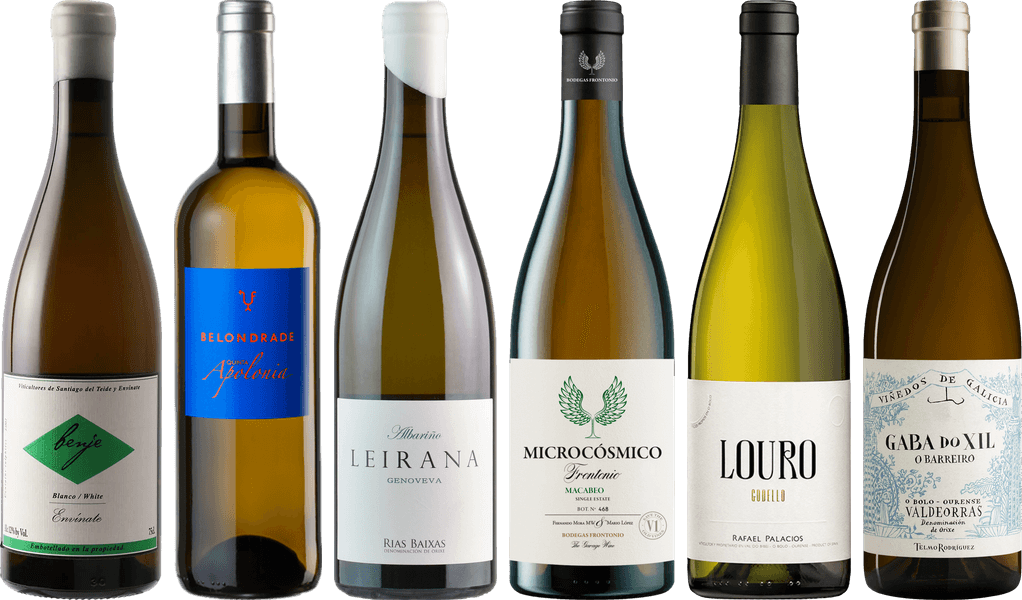Cassa degustazione di Vini Bianchi Spagnoli Premium