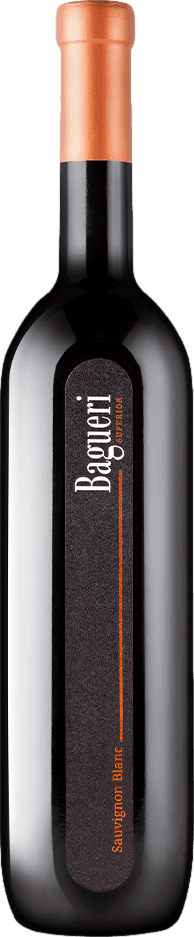 Klet Brda Bagueri Superior Sauvignon Blanc 2021