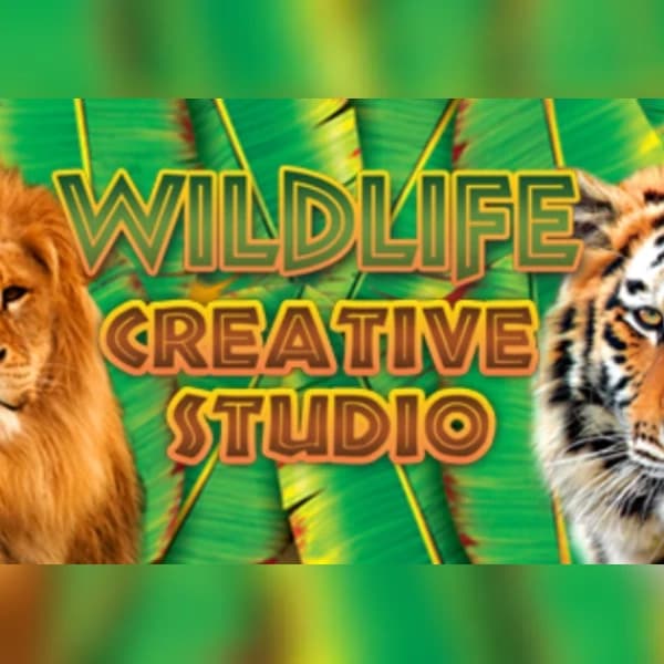 Wildlife Creative Studio (PC) Steam Key - GLOBAL