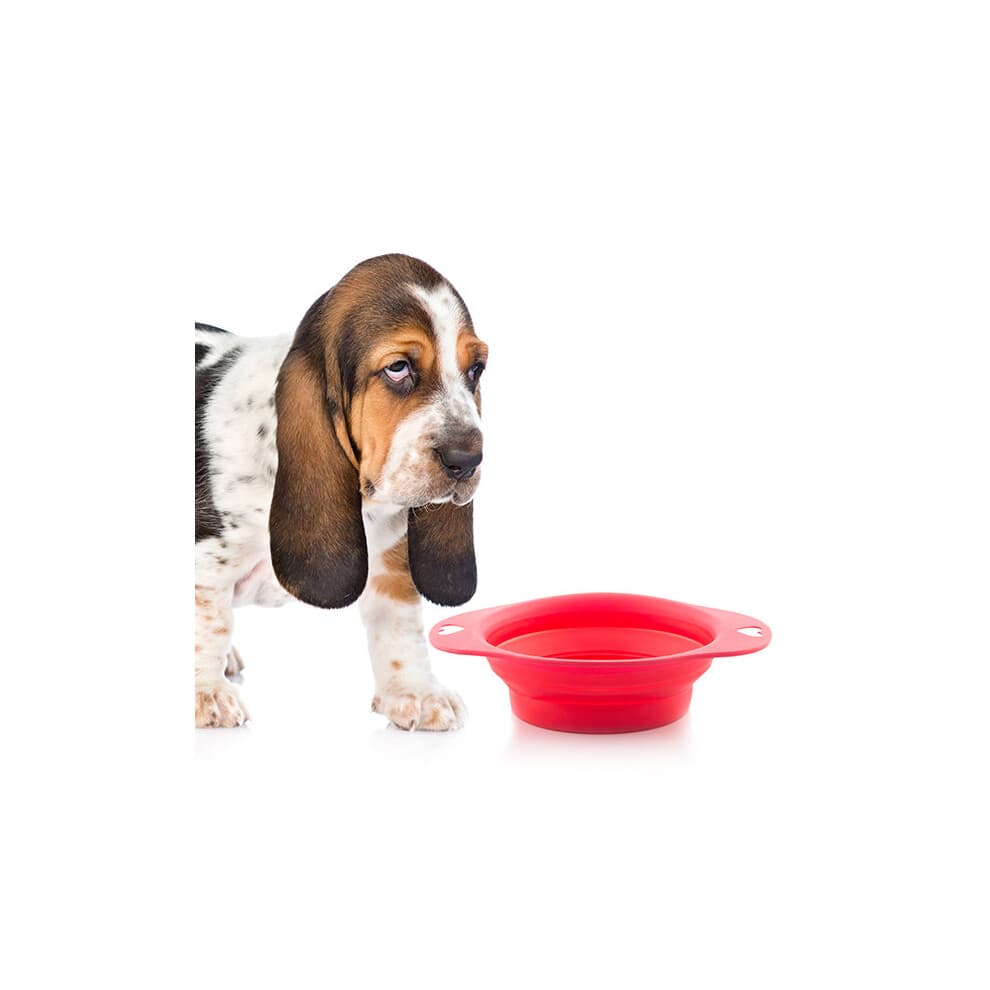 Ciotola da viaggio - Pieghevole - Silicone - Rotonda - Per cane