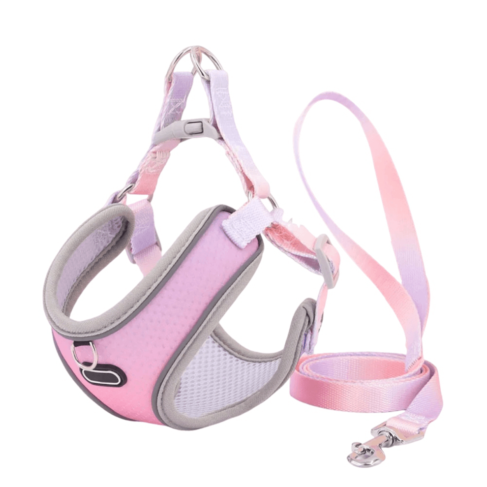 Set di guinzaglio e pettorina antifuga per gatti, regolabile, in rete, per cani, cuccioli e animali domestici (B), S