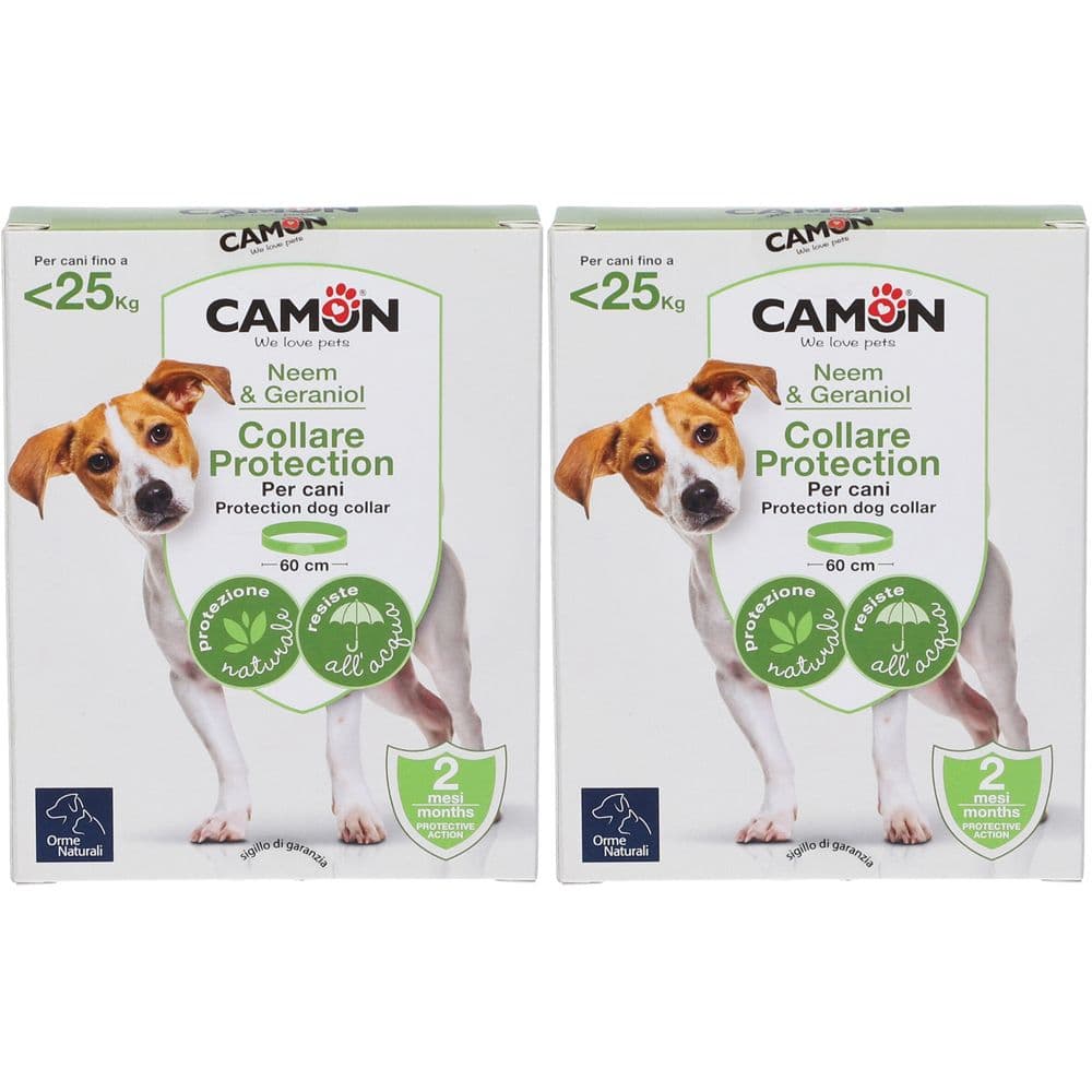 Protection Collare Barriera Per Cane 2x23 g
