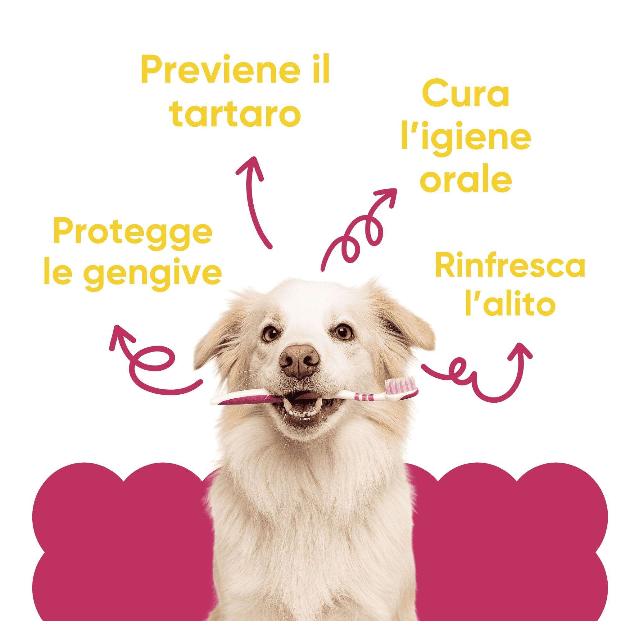WellWoof Oral Care Integratore Antitartaro per Cani 250 g Polvere view 2