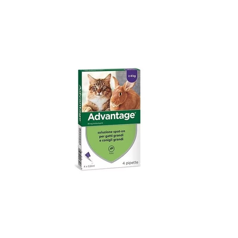 ADVANTAGE 80 (4 pipette) - Antiparassitario in pipette per gatti e conigli piccoli