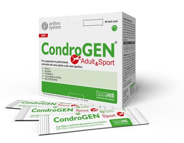 V CONDROGEN ADULT&SPORT 60STICK