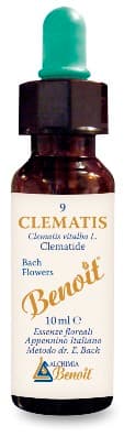 Benoit Fiori Di Bach Clematis