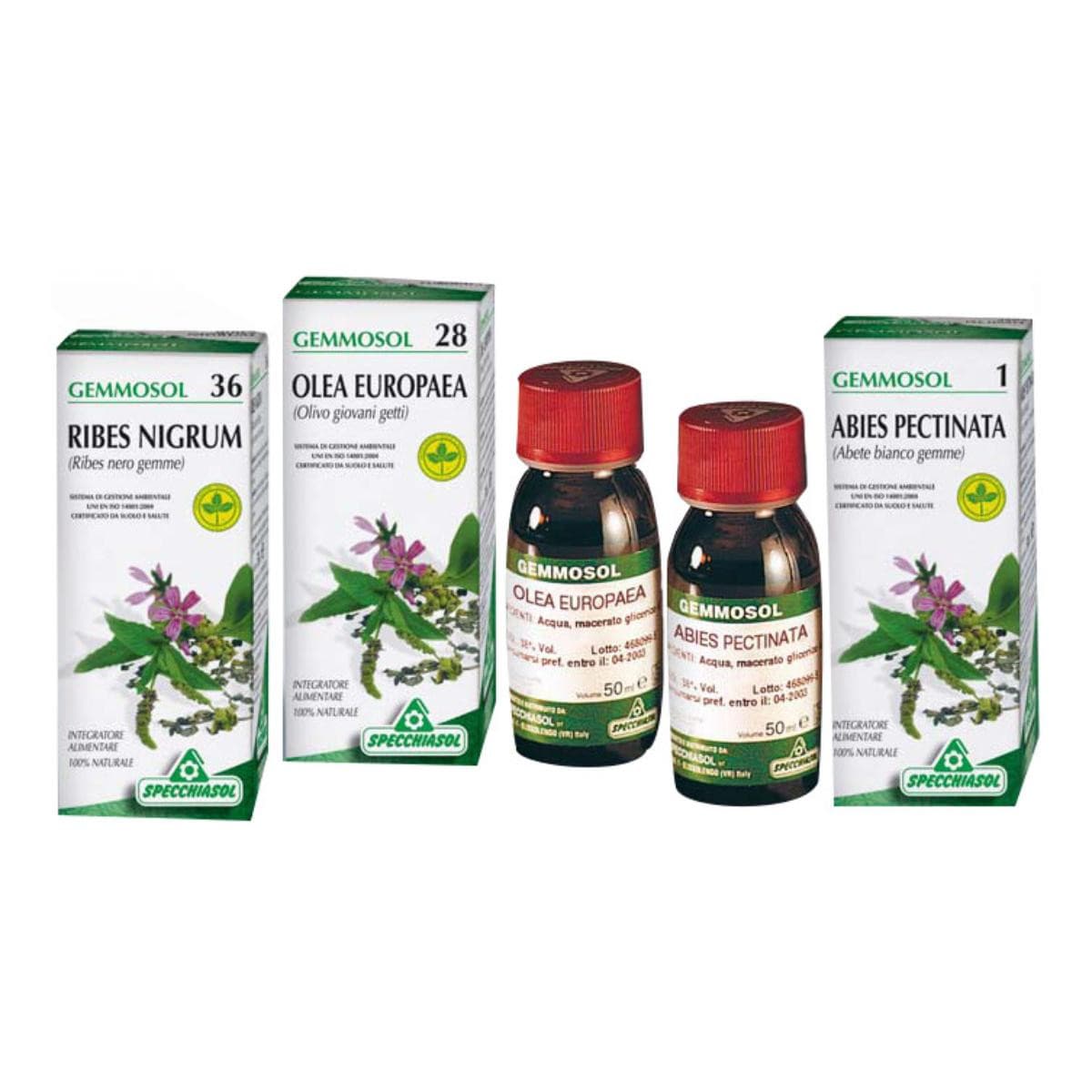 Specchiasol Gemmosol 13 Linfa Di Betulla Drenante e Depurativa, 50ml