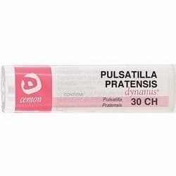 PULSATILLA PRAT DYN*30CH GR