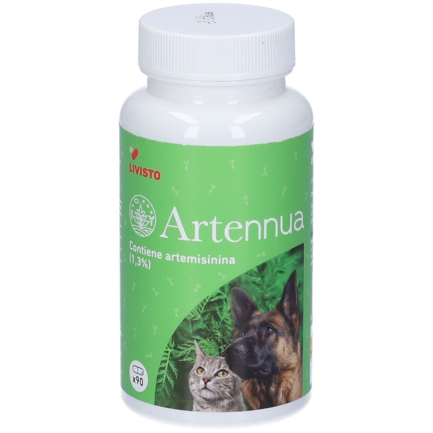 Artennua 90 Capsule