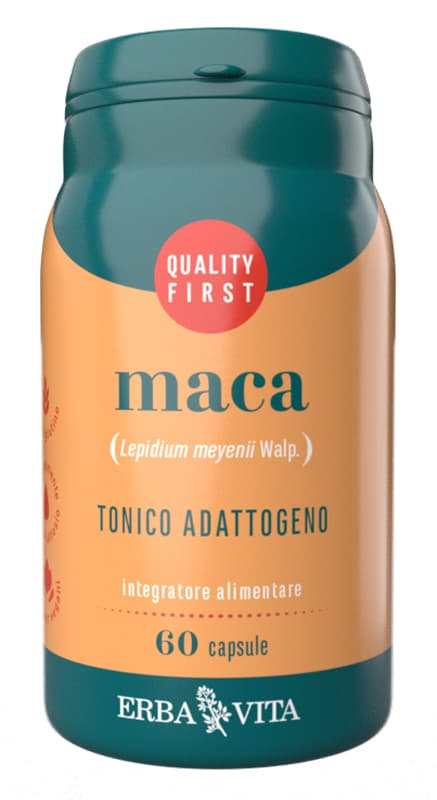 MACA 60CPS EBV