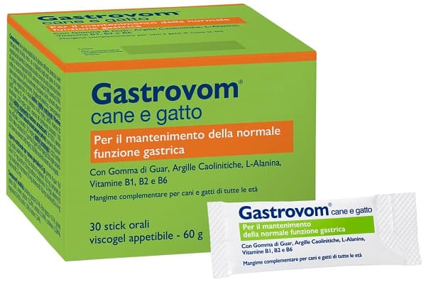 V GASTROVOM 30STICK CANE/GATTO