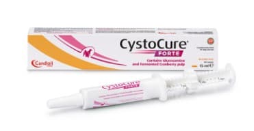 CYSTOCURE Forte Pasta 15ml