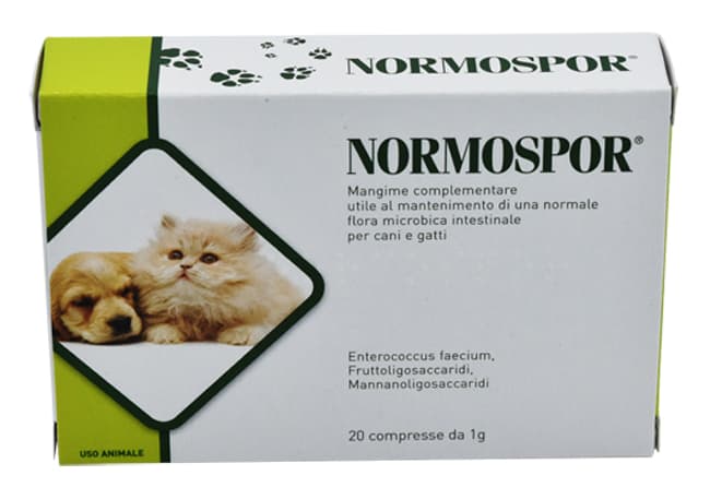 NORMOSPOR 20 Cpr 1g