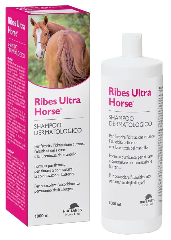 NBF LANES - Ribes Ultra Horse - Shampoo - 1L