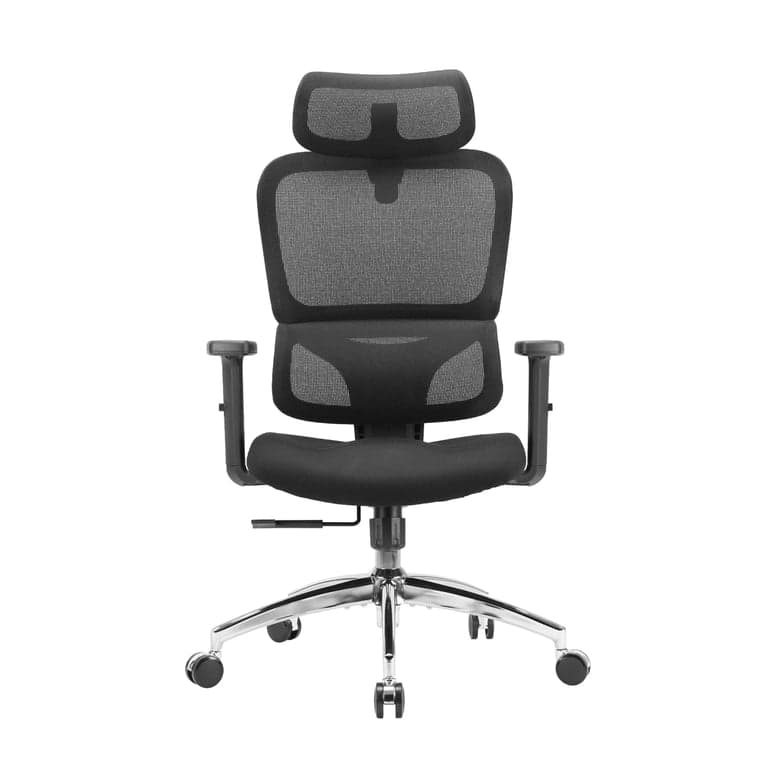SIHOO M56C - Sedia da ufficio ergonomica regolabile, Sedia da ufficio con supporto lombare dinamico 3D, schienale in rete traspirante, poggiatesta e
