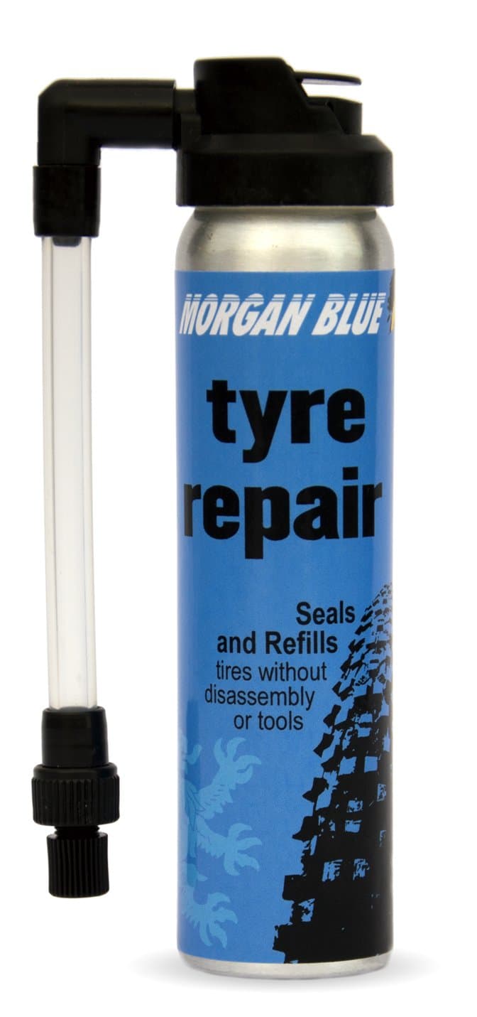 Morgan Blue Patch Spray 75 ml