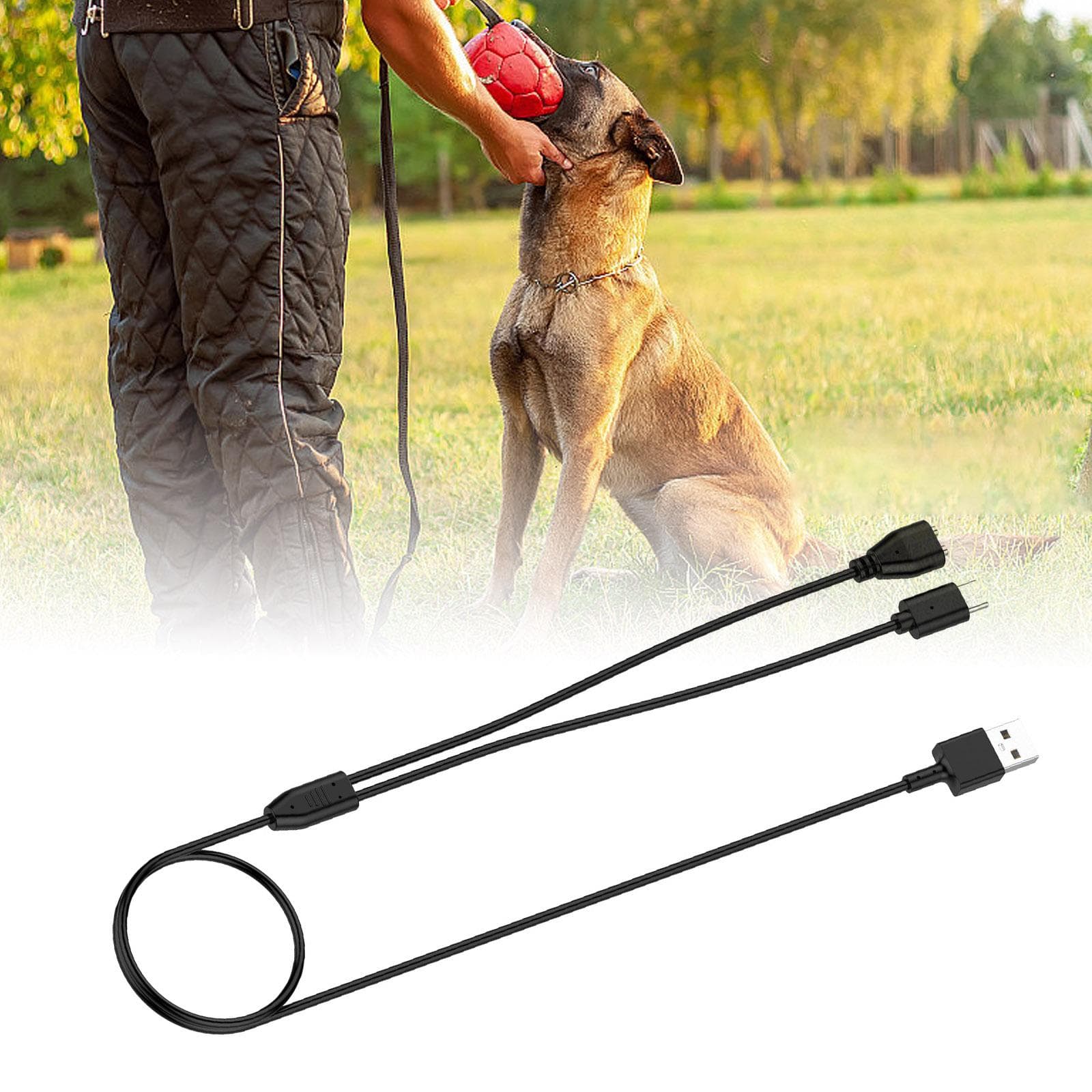 Cavo di ricarica USB per collare addestramento animali domestici, cavo di ricarica con connessione magnetica per Delupet DT-66 DT-67 DT-68/Yawpet DT-6