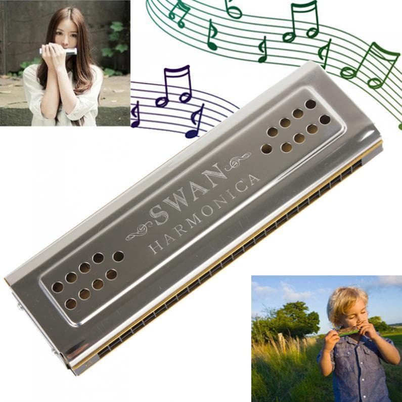 Armonica Tremolo a Doppia Fila C&G a 24 Fori Armonica da Suono Principiante Autodidatta Avanzato Strumento a Fiato