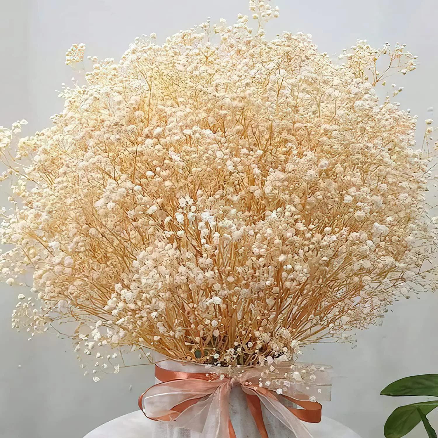 Fiori Secchi Gipsofila Bouquet Fiori Bianco Avorio Rami Naturali di Gipsofila per Decorazione Casa Fiori Matrimonio all'Ingrosso per Vaso beige
