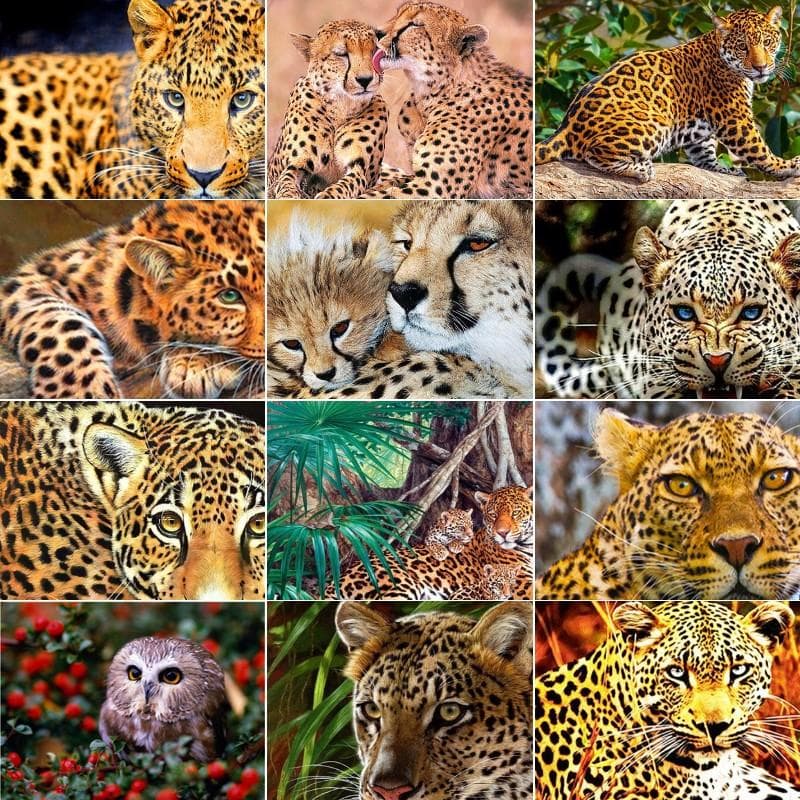 Kit di pittura diamante 5D fai da te Leopard Art Diamond Ricamo Strass Decorazioni per la casa