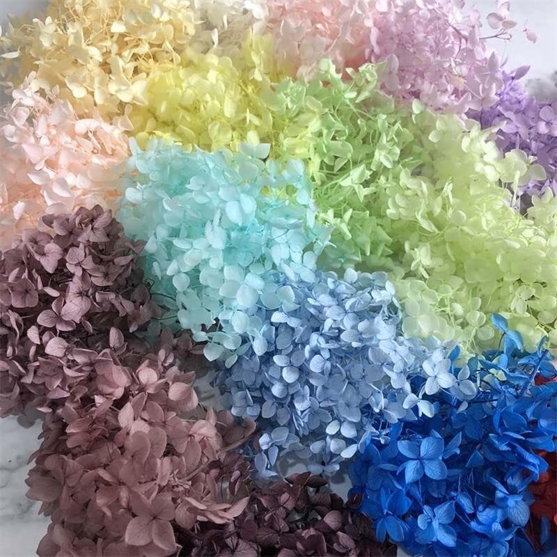5 ~ 5 .5 g/lotto Fiori naturali freschi conservati Fiori secchi di piccole foglie di ortensia Capolini per fiori fai da te Vera vita eterna Materiale