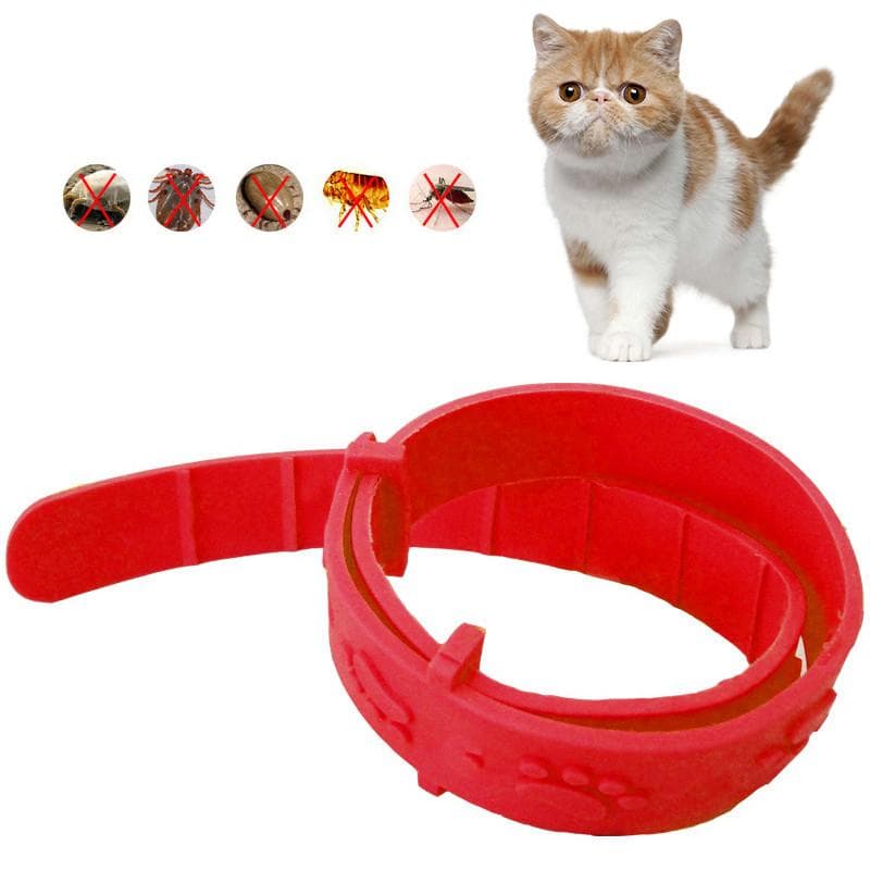 Gatto regolabile con rimozione efficace dei pidocchi degli acari delle pulci insetticida zanzara effetto quadruplo
