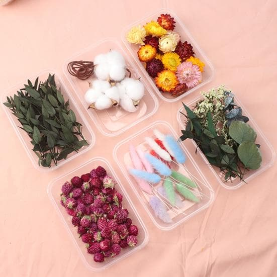 Kit Fiori Secchi Fiori Naturali Reali all'Ingrosso Fiore Secco Fai da Te Fiori Immortali Materiale
