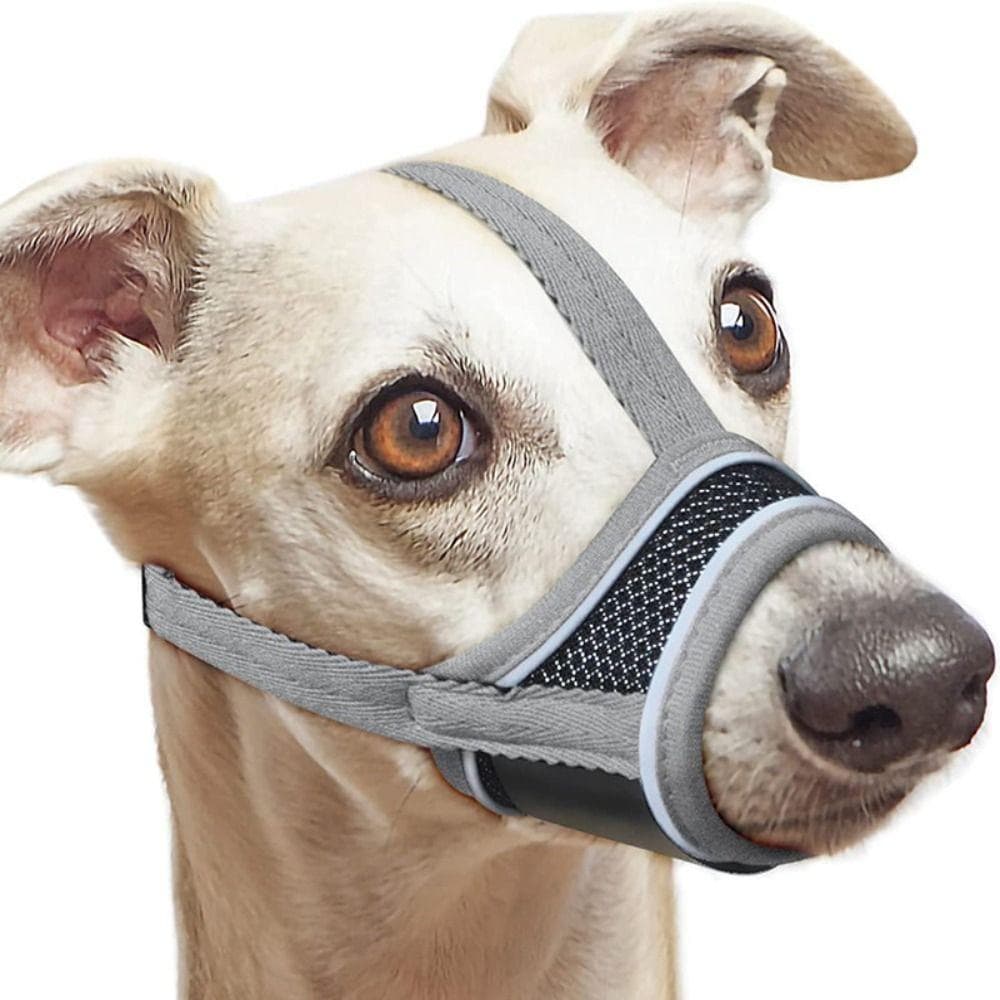 Muso in Rete Comodo per Cani con Cinturino Regolabile Maschera per Animali da Compagnia Musoliera Durevole per Cani di Taglia Piccola e Media grigio