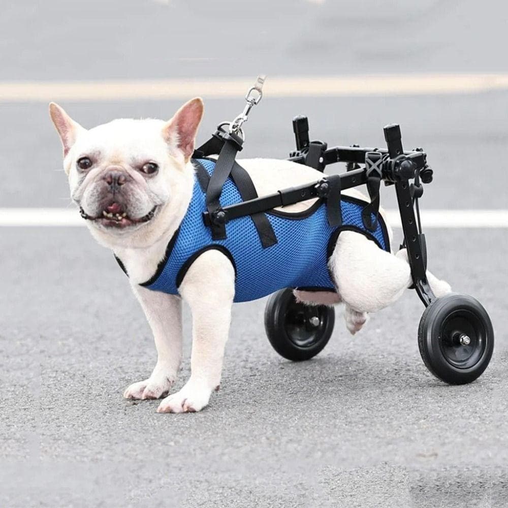 Carrello per sedia a rotelle per cani con ruote per camminare Supporto durevole per zampe posteriori di animali domestici Cane con disabilità