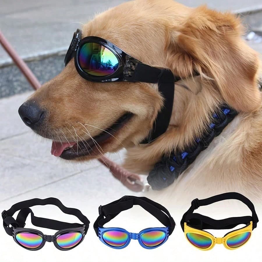 1 pezzo Occhiali da sole pieghevoli per animali domestici, occhiali protettivi UV per cani e gatti