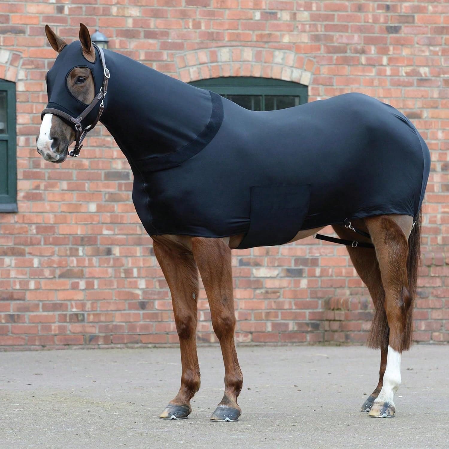 Premium Coperta per cavallo in spandex a 4 vie, traspirante e leggera, con chiusura lampo sul viso, che offre una durata eccezionale e una