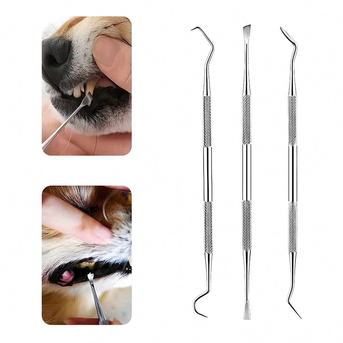 3 pezzi Set per la cura dentale degli animali domestici, per rimuovere il tartaro - Set di pulizia dei denti per cani in acciaio inossidabile -