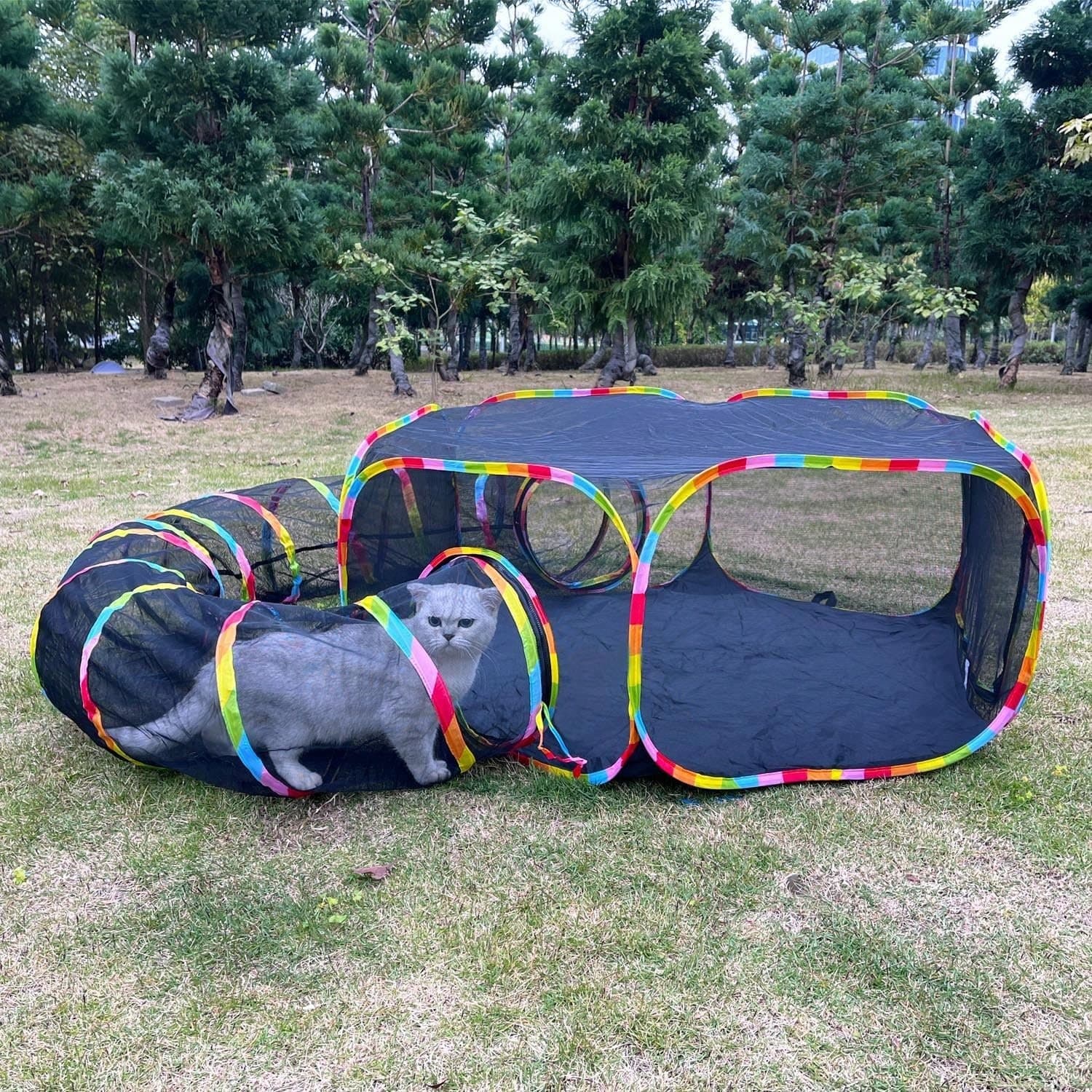 Gabbia per gatti da esterno e tunnel per gatti, tenda in rete portatile per gatti, tunnel da gioco rotondo da esterno adatto per gatti, conigli,