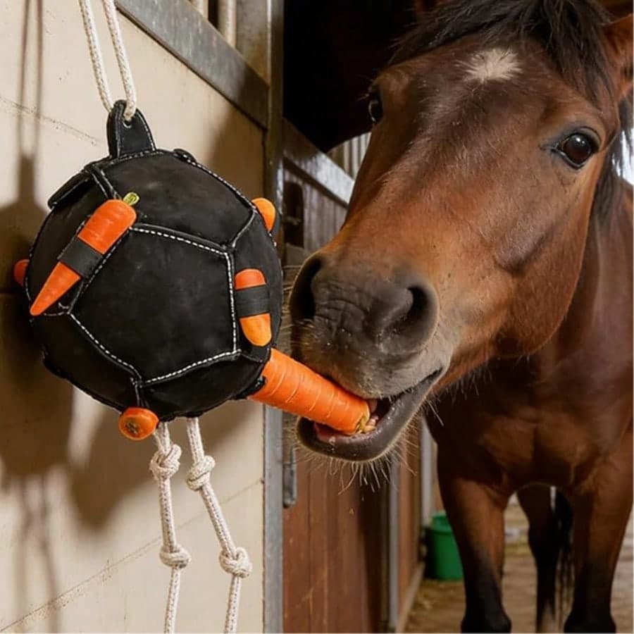 Nuovi arrivi giocattoli per cavalli, palline di carote per l'addestramento, forniture equestri, borse per mangime per cavalli