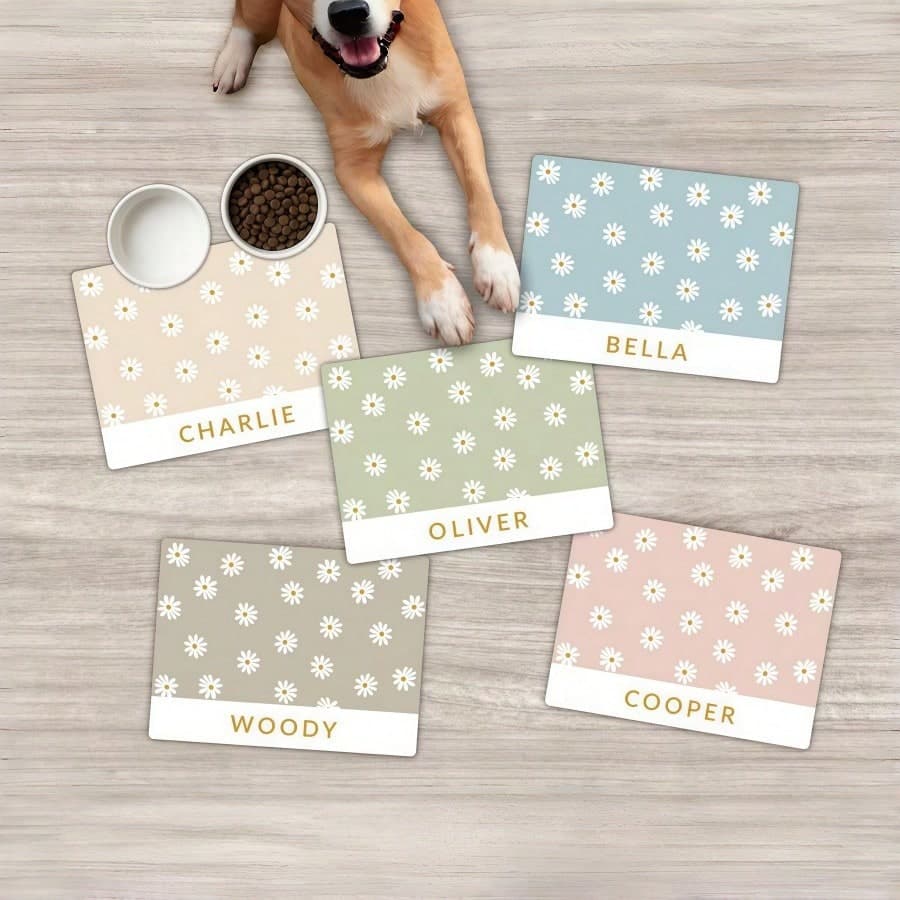 1 pezzo Tappetino per alimentazione personalizzato con nome dell'animale domestico, Sottopiatto personalizzato per animali domestici, Materiale in